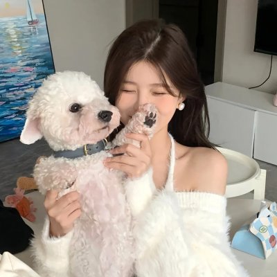 歼虎屠龙